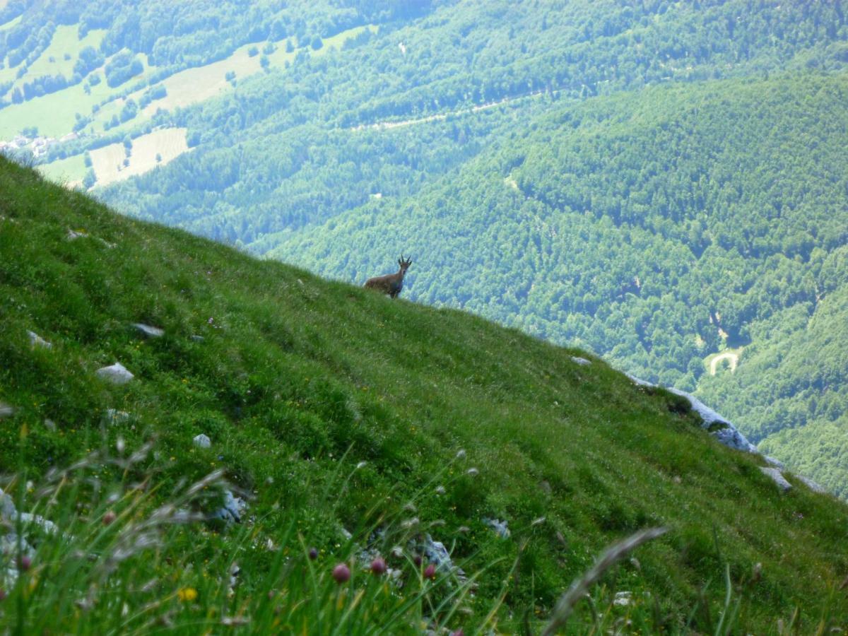 La Moraine Villard-de-Lans Exterior foto